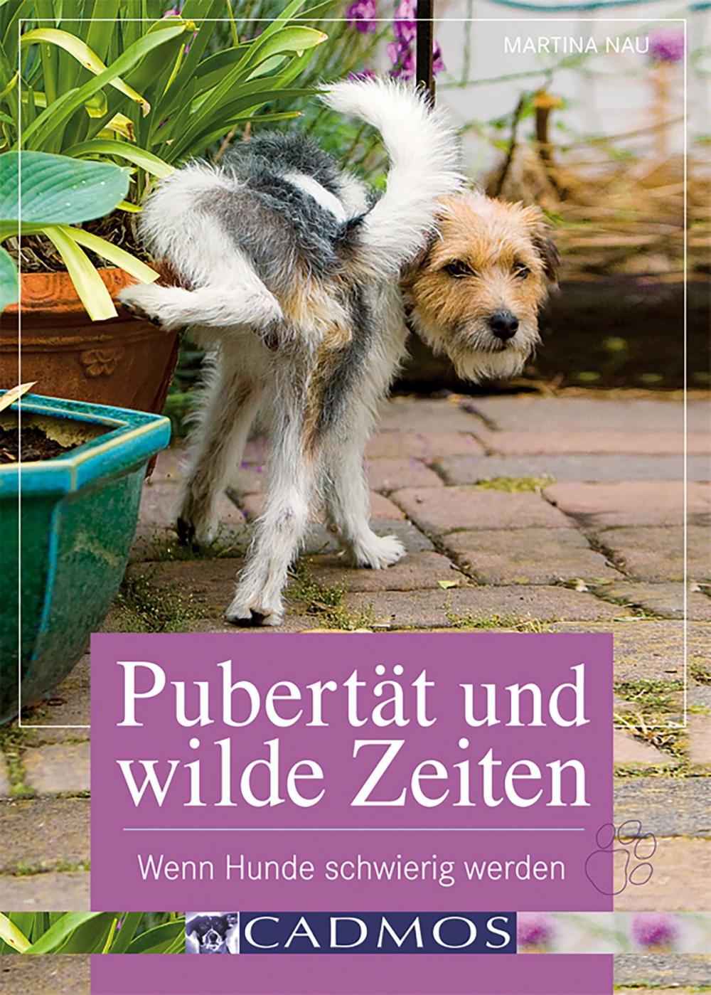 Big bigCover of Pubertät und wilde Zeiten