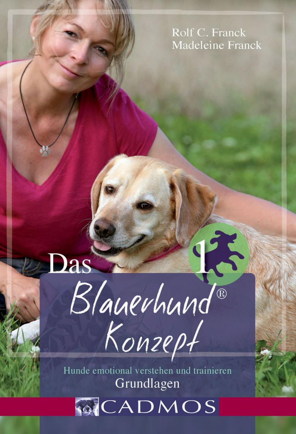 Big bigCover of Das Blauerhundkonzept 1