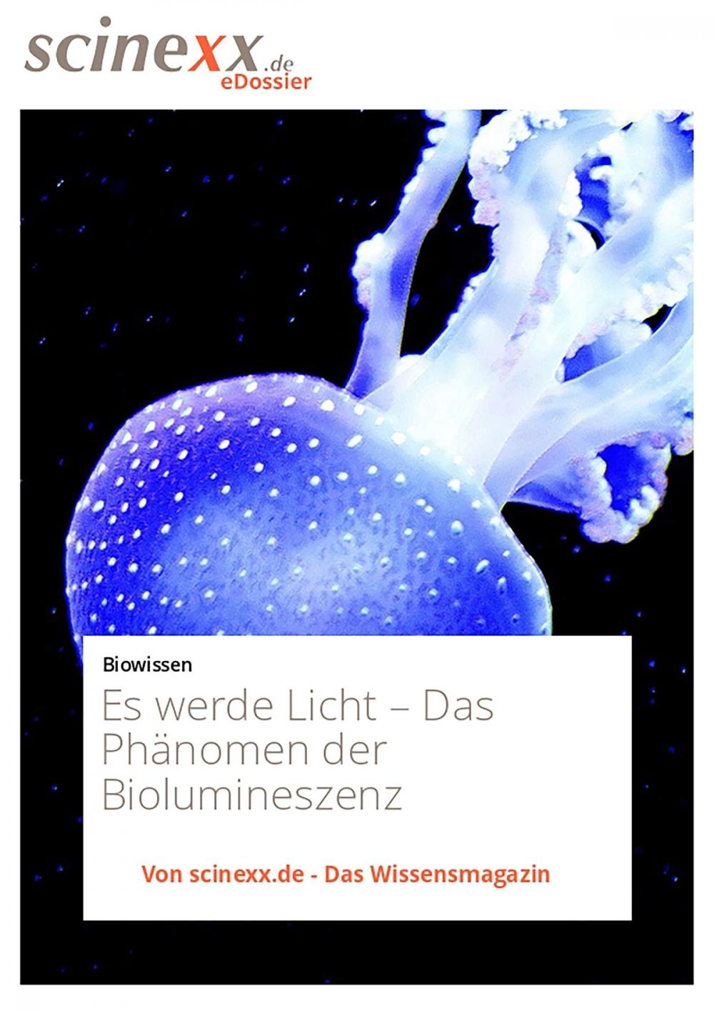 Big bigCover of Es werde Licht…