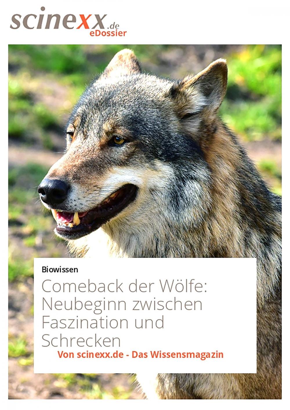 Big bigCover of Comeback der Wölfe