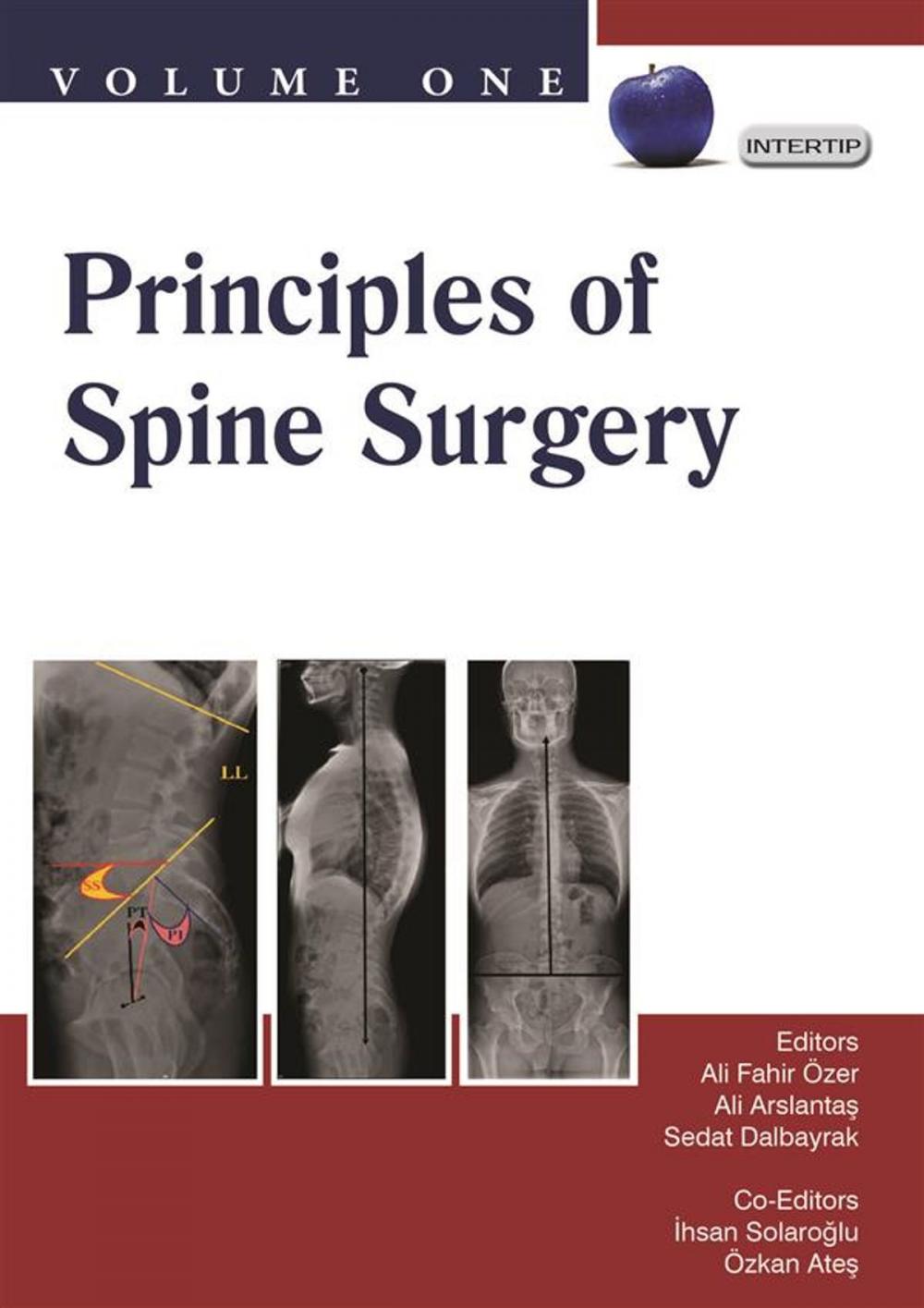 Big bigCover of Principles of Spine Surgery