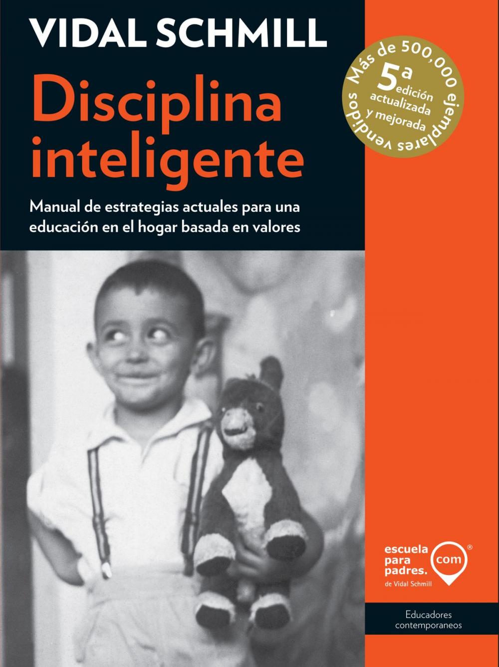 Big bigCover of Disciplina inteligente