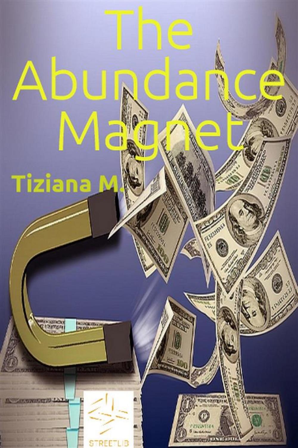 Big bigCover of The Abundance Magnet