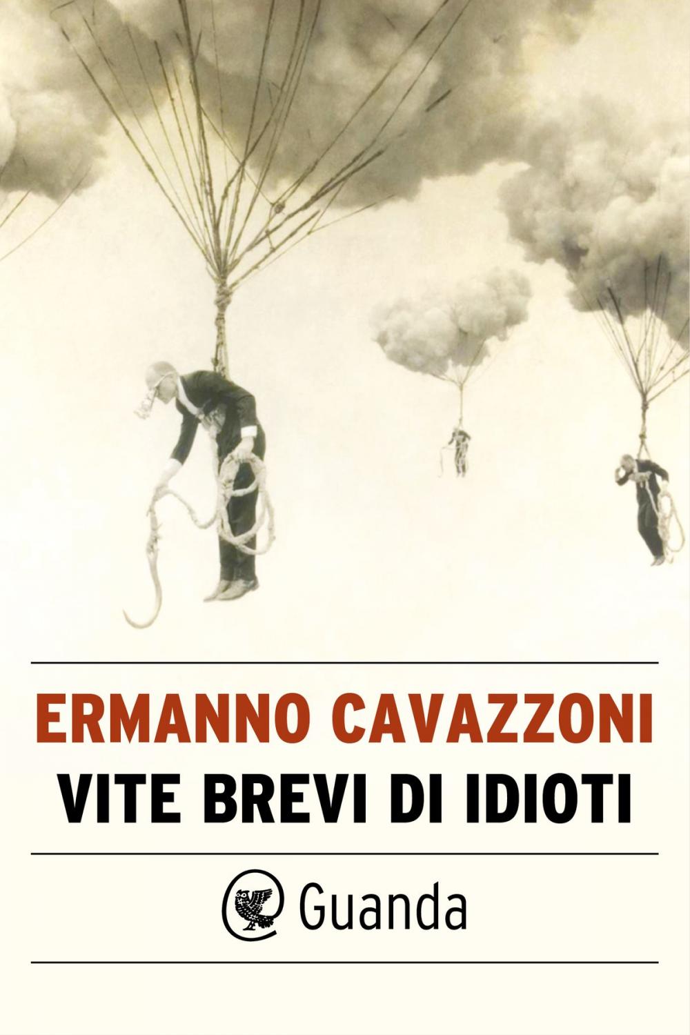 Big bigCover of Vite brevi di idioti