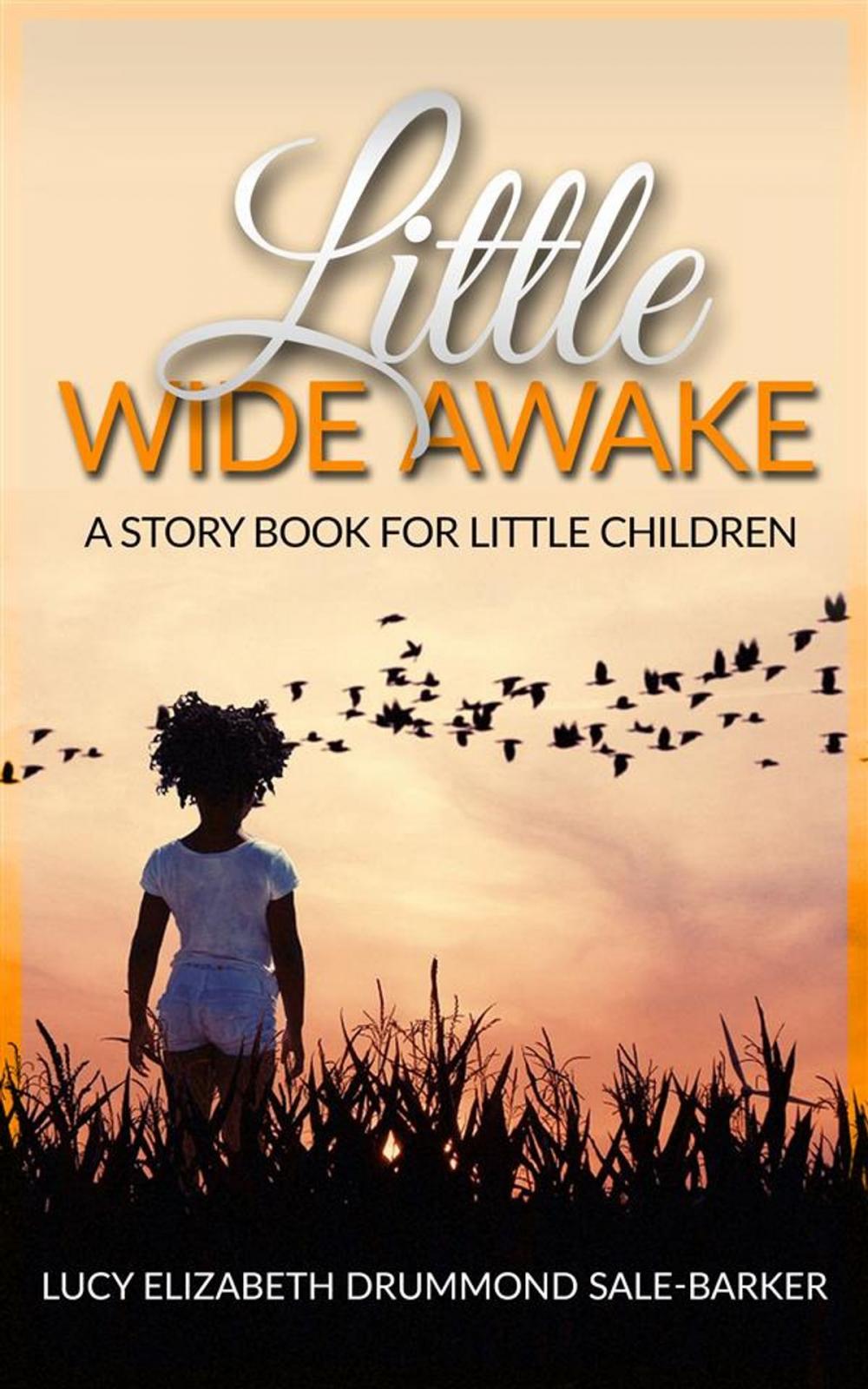 Big bigCover of Little Wide Awake - A story book for little children