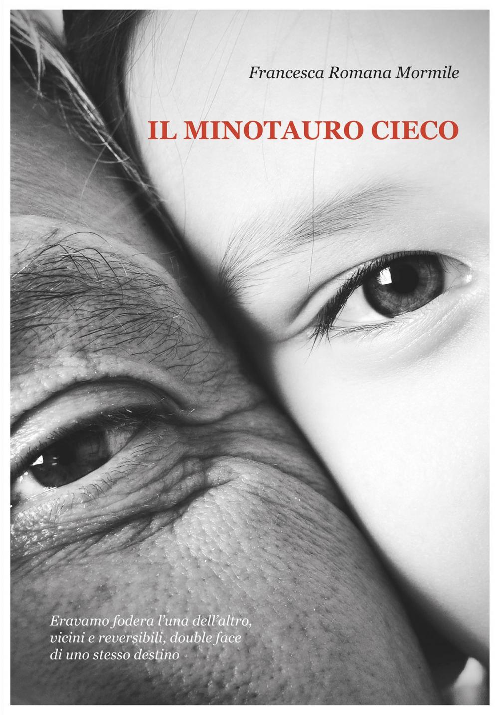 Big bigCover of Il Minotauro cieco