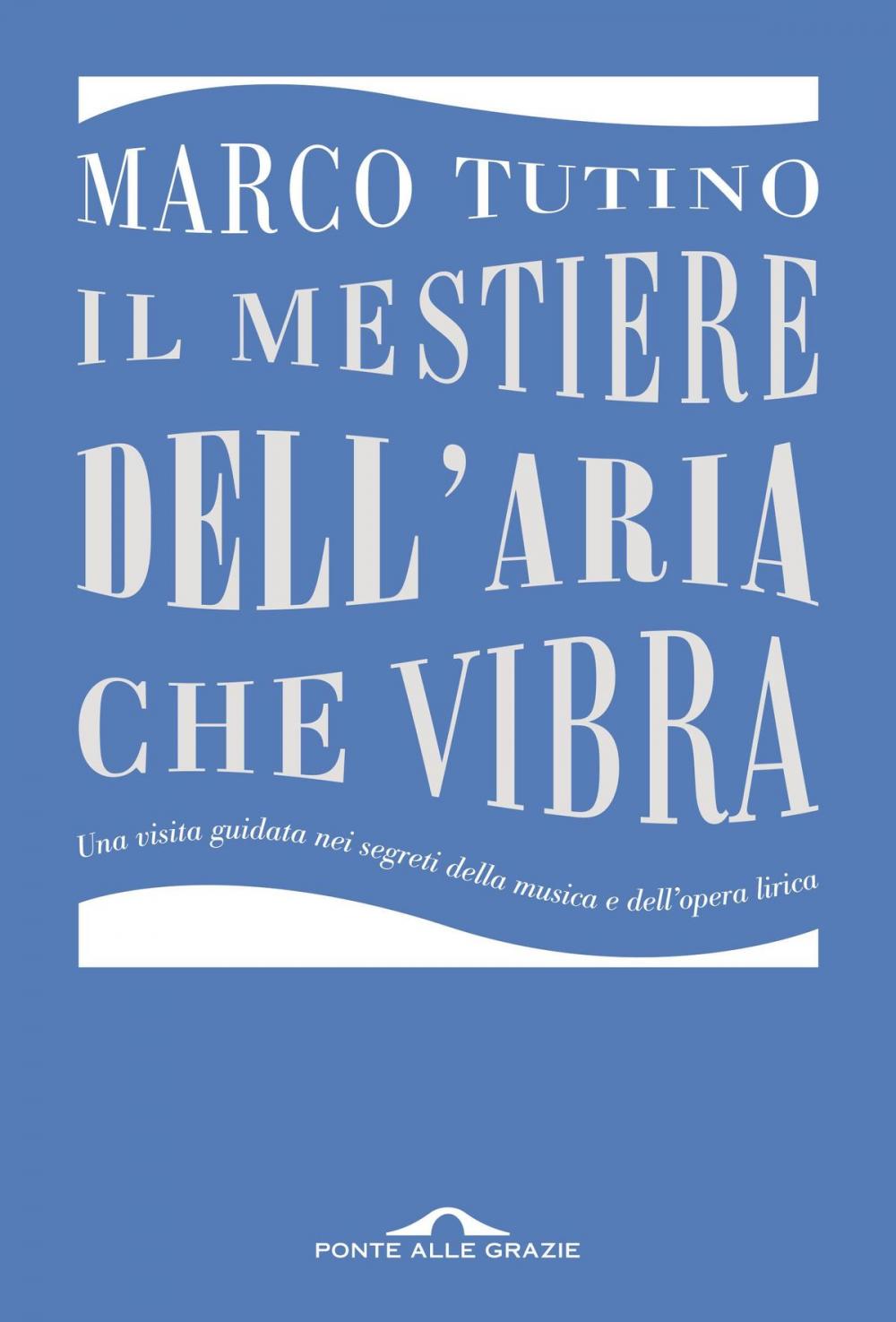 Big bigCover of Il mestiere dell'aria che vibra