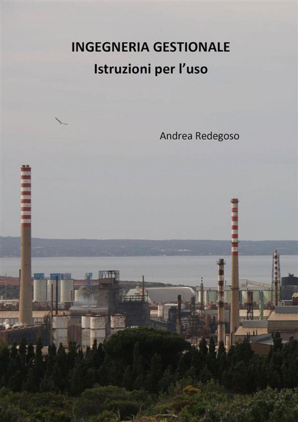 Big bigCover of Ingegneria gestionale - Istruzioni per l'uso