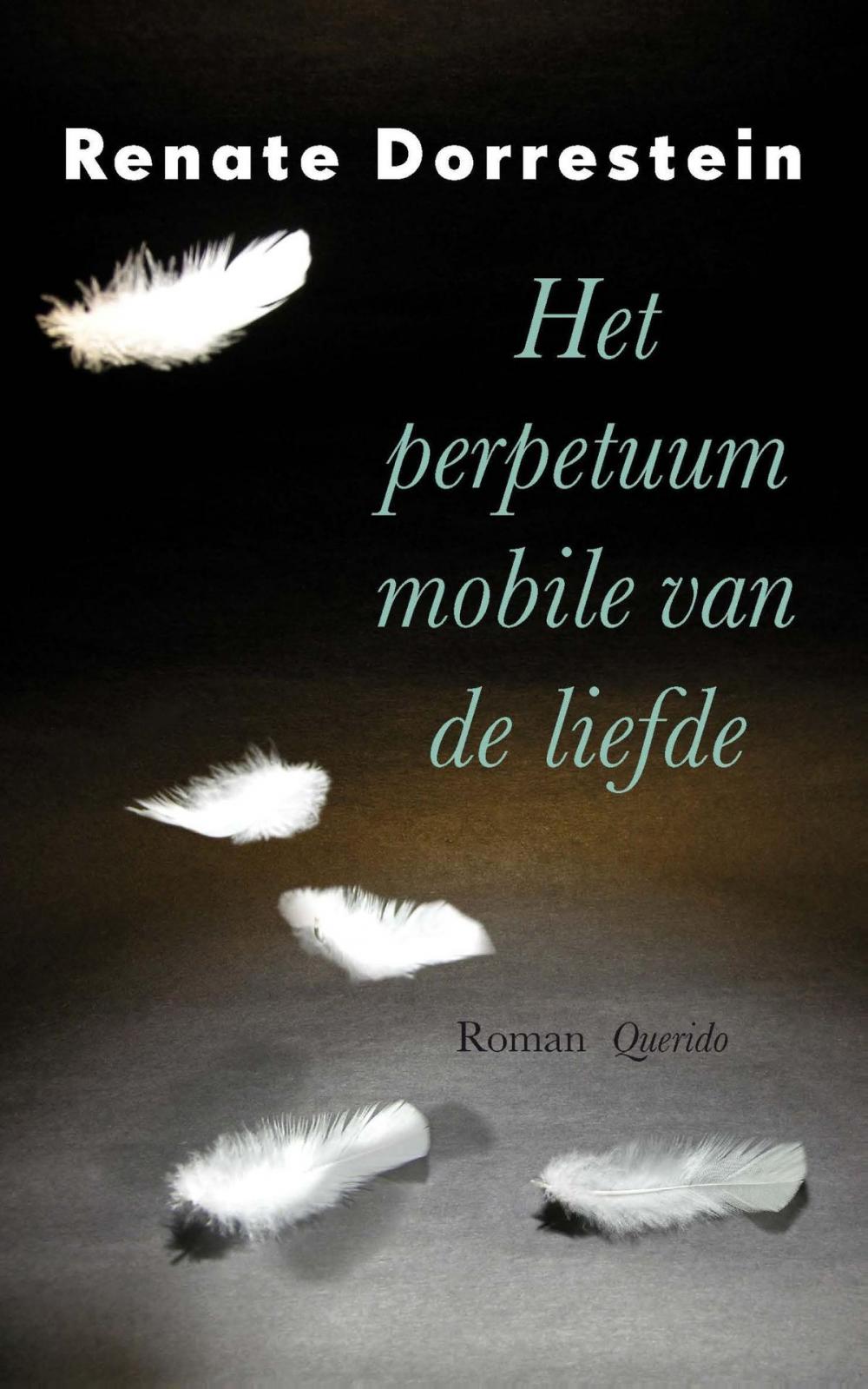 Big bigCover of Het perpetuum mobile van de liefde