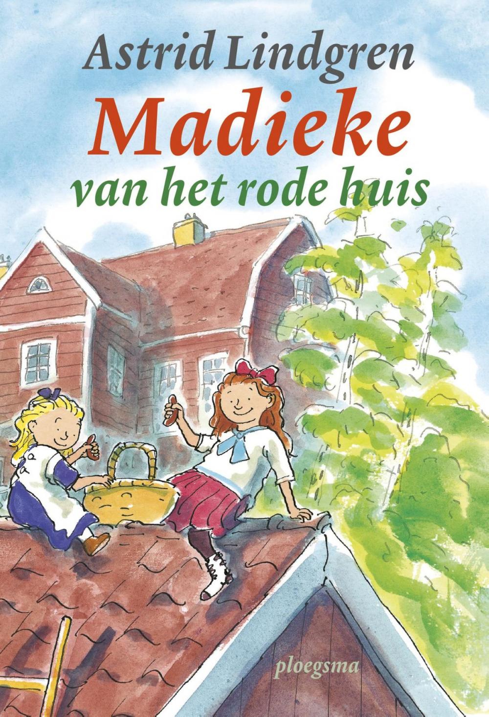 Big bigCover of Madieke van het rode huis