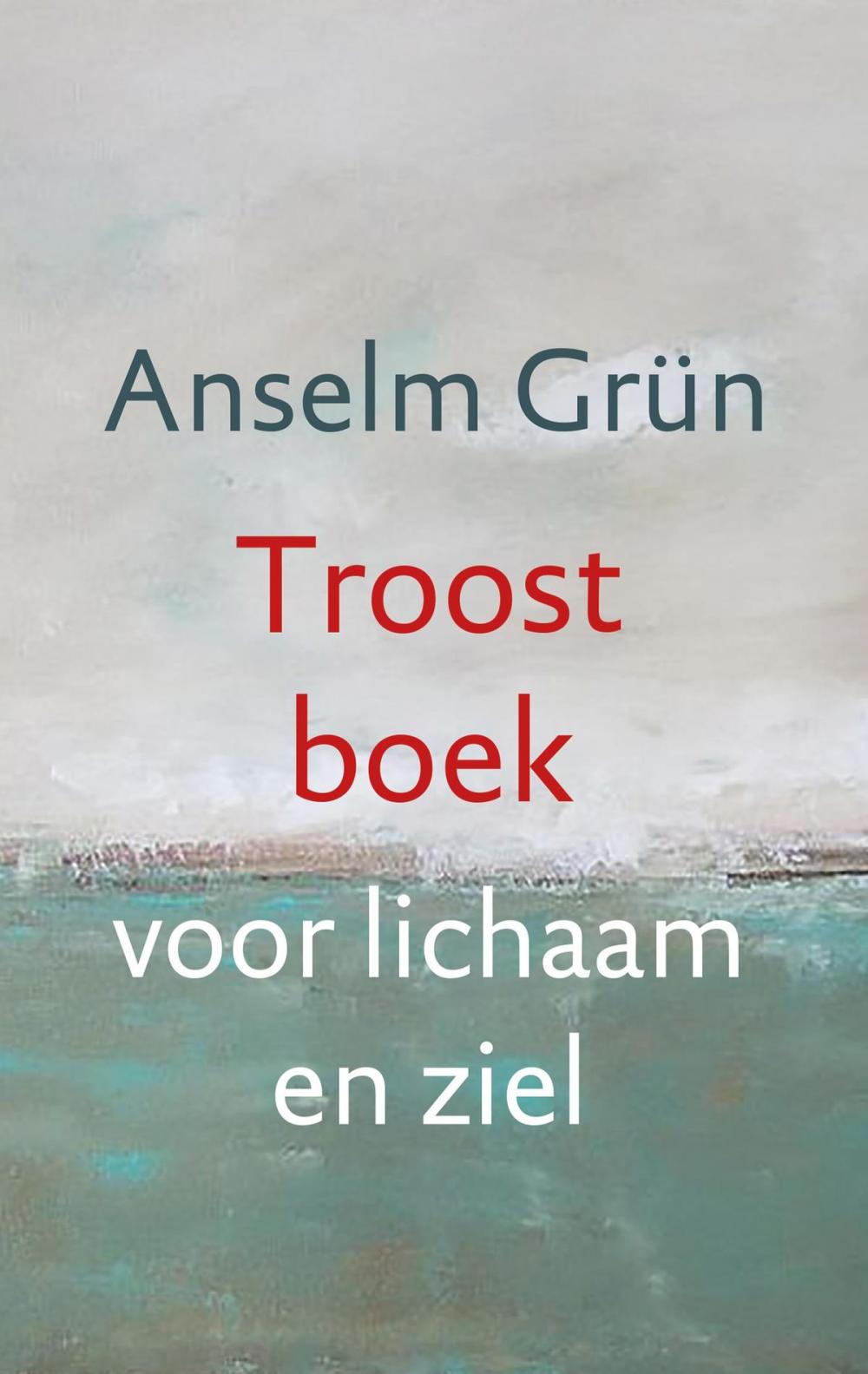 Big bigCover of Troostboek voor lichaam en ziel