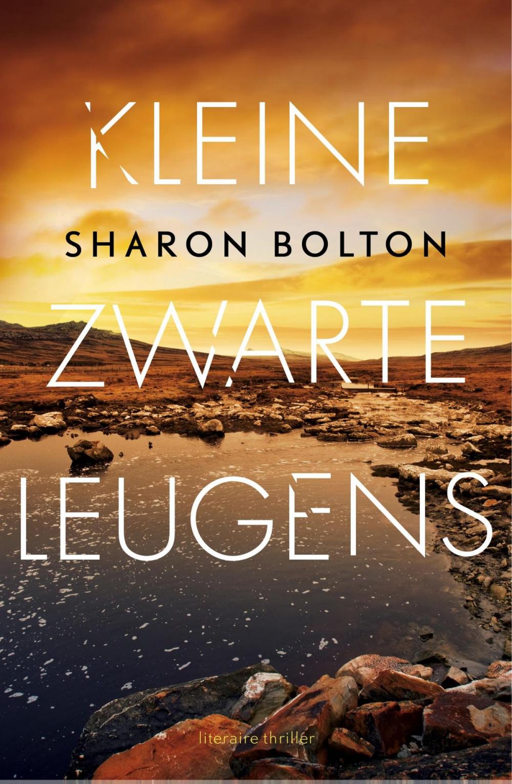 Big bigCover of Kleine zwarte leugens