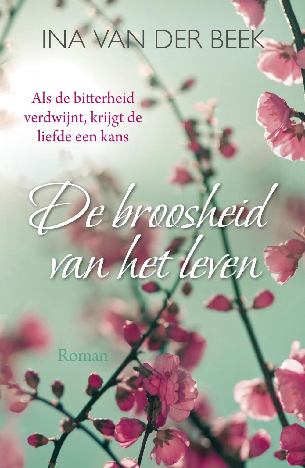 Big bigCover of De broosheid van het leven