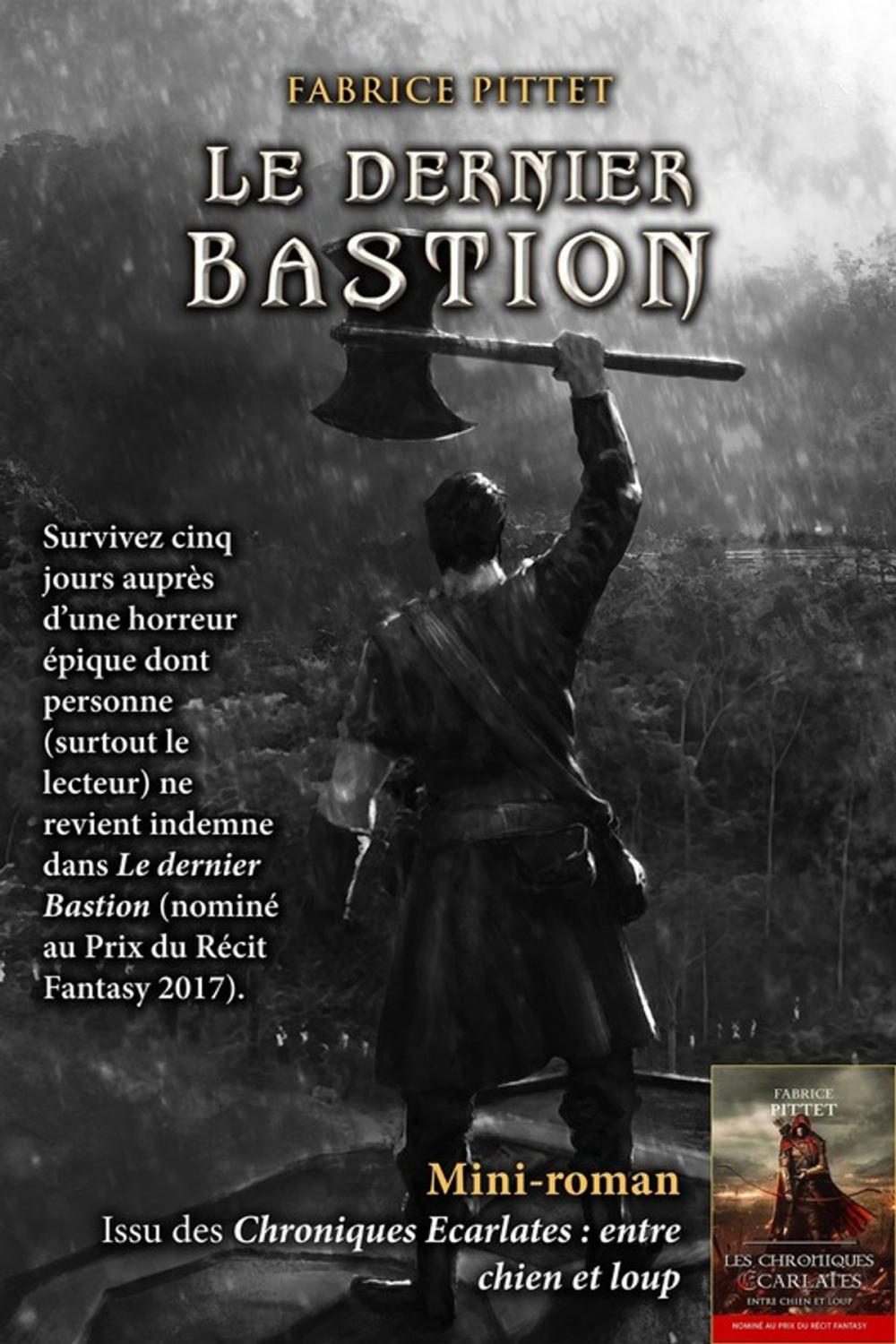 Big bigCover of Le dernier Bastion