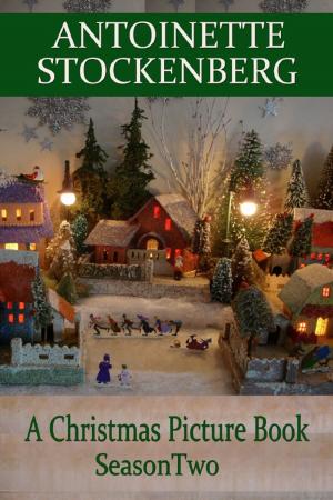 Cover of the book A Christmas Picture Book: Season Two by Glenn Haybittle
