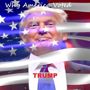 Book cover of Why America Voted Trump