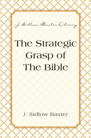 Cover of the book The Strategic Grasp Of The Bible by John Byron, Scot McKnight