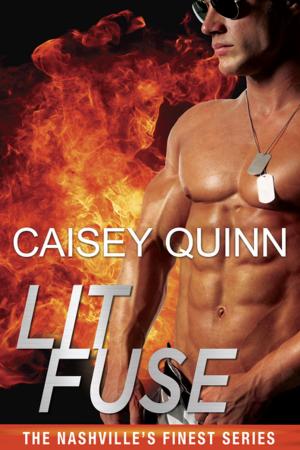 Cover of the book Lit Fuse by Kailee Reese Samuels