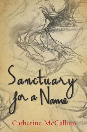 Book cover of Sanctuary for a Name