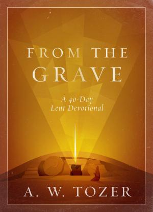 Cover of the book From the Grave by William P. Dillon
