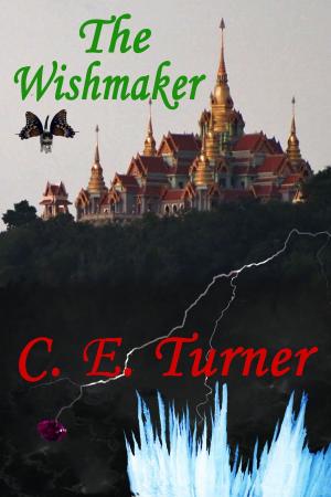 Cover of the book The Wishmaker by Candace Smith