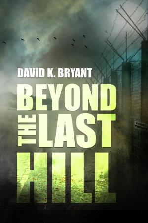 Book cover of Beyond the Last Hill