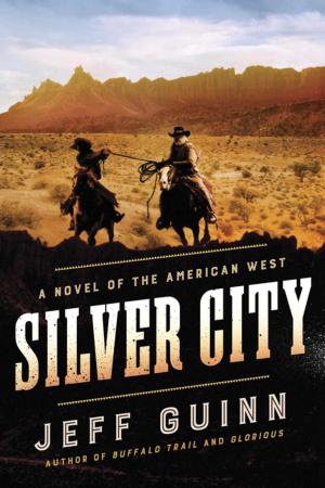 Cover of the book Silver City by Bryan Burrough