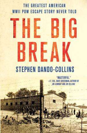 Cover of the book The Big Break by Andrew Fukuda