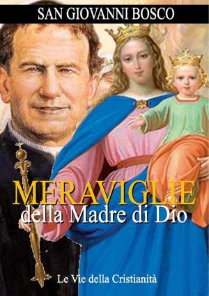 Cover of the book Meraviglie della Madre di Dio by Sant'Angela da Foligno