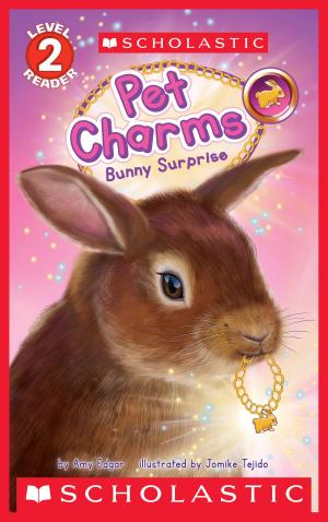 bigCover of the book Bunny Surprise (Scholastic Reader, Level 2: Pet Charms #2) by 