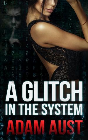 Cover of the book A Glitch in the System by BV Lawson