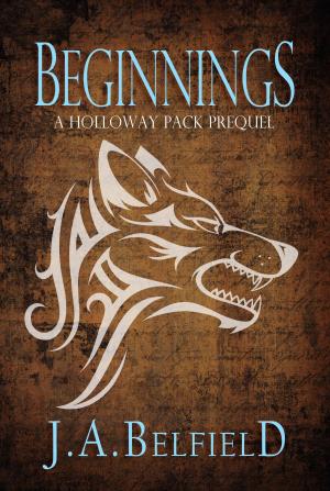 Cover of the book Beginnings by Lucy Fields