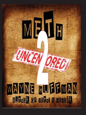 Cover of Meth Uncensored II