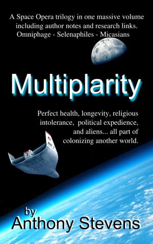 Cover of the book Multiplarity by Ashley Lauren