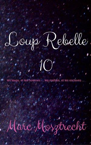 Book cover of Loup Rebelle 10