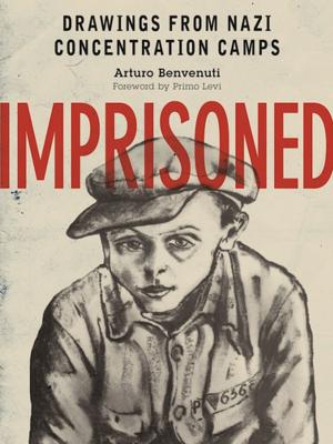 Cover of the book Imprisoned by Joseph B. Healy