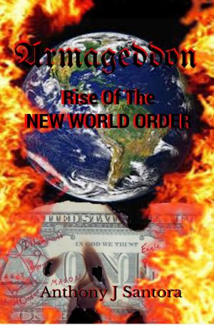 bigCover of the book Armageddon: Rise Of The New World Order by 