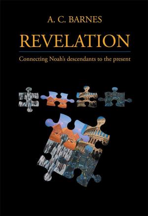 Cover of the book Revelation by Steve Marsh