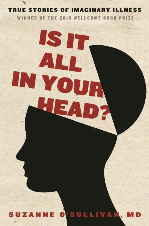 Cover of the book Is It All in Your Head? by Amity Gaige