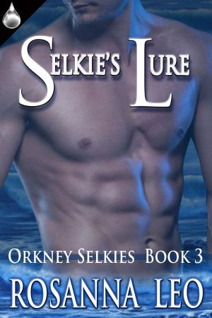 Cover of the book Selkie's Lure by C. L. Stone