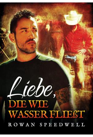 Cover of the book Liebe, die wie Wasser fließt by P.D. Singer