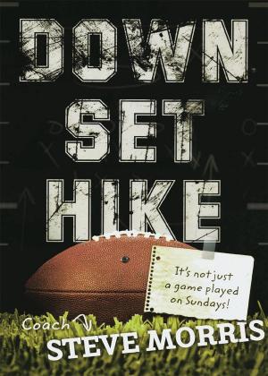 Cover of the book Down, Set, Hike by Julie Court