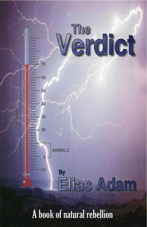 Cover of the book The Verdict by Shine