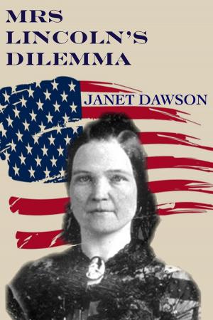 Cover of the book Mrs. Lincoln's Dilemma by James Paavola