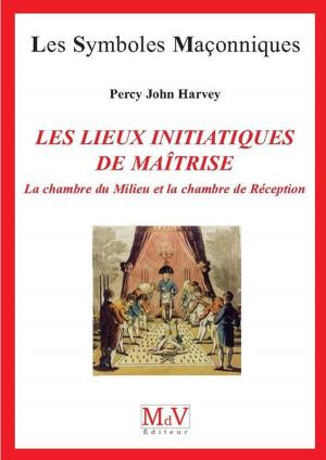 Book cover of N.69 Les lieux initiatiques de la maîtrise