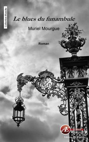 Cover of the book Le blues du funambule by Mark Haugen