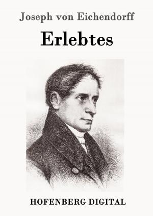 Cover of the book Erlebtes by Manfred Kyber