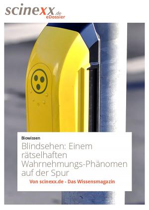 Cover of the book Blindsehen by Hygiene-Netzwerk GmbH & Co KG