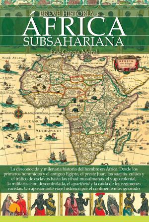 Cover of the book Breve historia del África subsahariana by Ángel Luis Vera Aranda