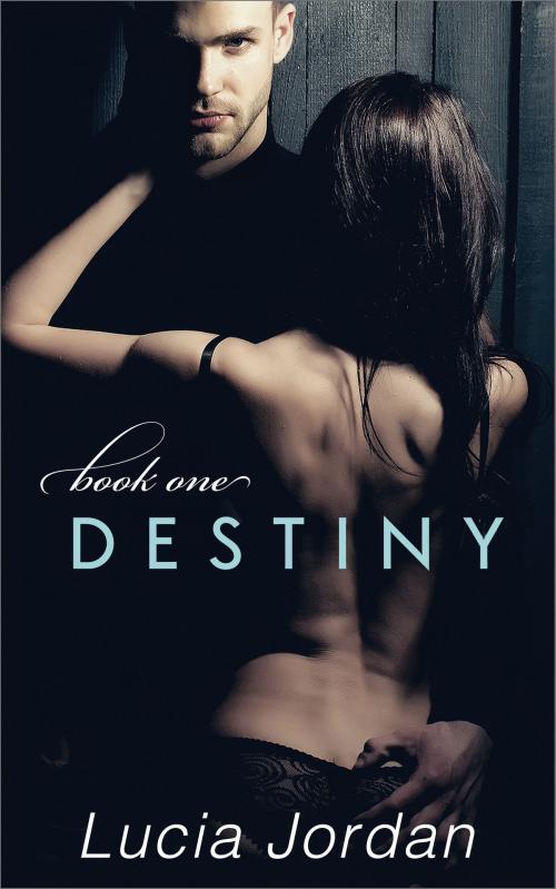 Cover of the book Destiny by Lucia Jordan, Vasko